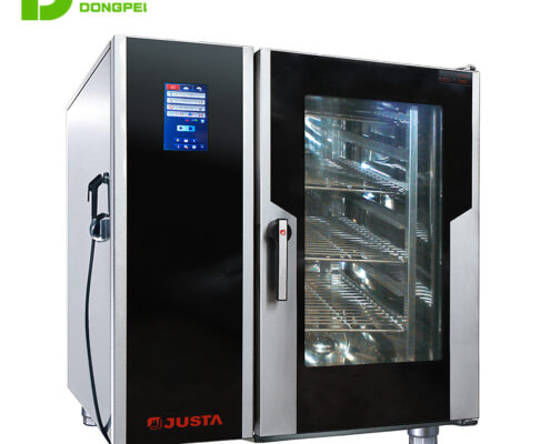 10 tray combi oven